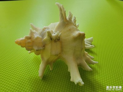 纯粹是好看啊，没别的意思