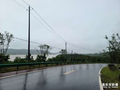 雨中随拍