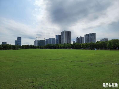 【夏了夏天】+夏日公园随手拍