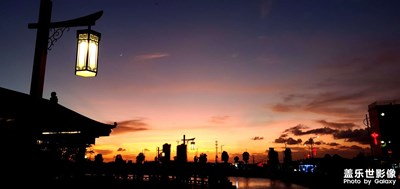 夕阳红