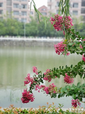 下雨