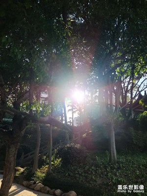 红十字之光