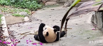 【闪亮的日子】+旅游啦