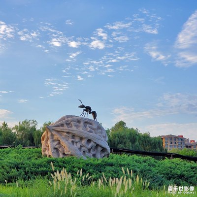 风景随手拍