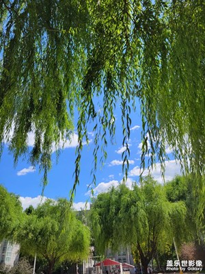 雨过天晴，北京昌平赛江南。