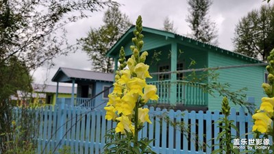 今天爬山雨中照片