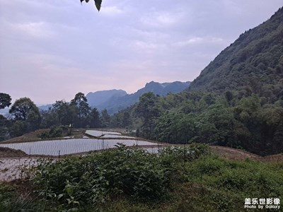 老家 唯有这里装满了童年的夏日时光