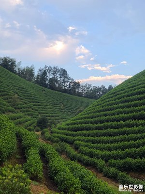 《山里的早晨》手机拍摄