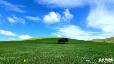 克什克腾之夏