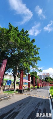 随手一拍
