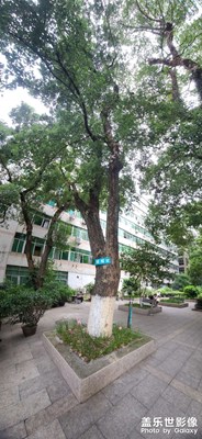 全景摄影