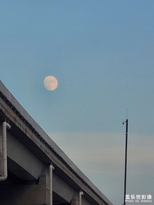 駕車回家路上偶然看到月亮巨大