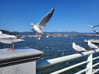 云南昆明海埂公园