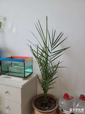 今日照片
