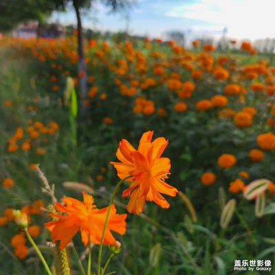 晨跑随拍