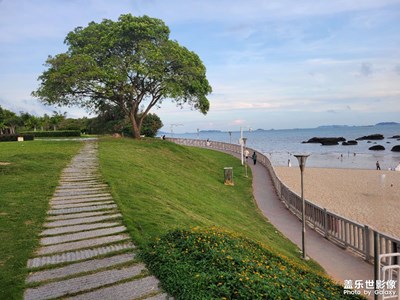 厦门海边风景！