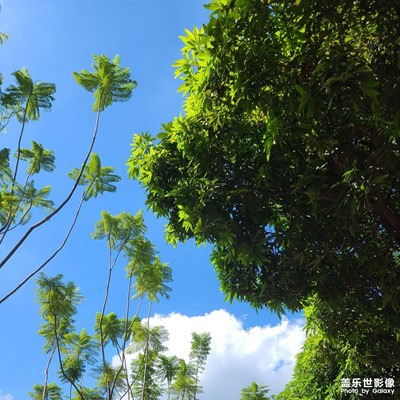 【静默时光】夏天