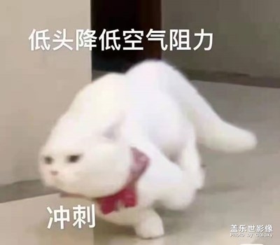 每天都在元气满满