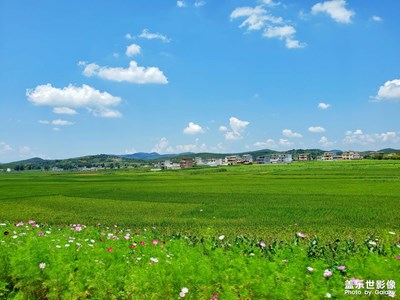 静美山乡