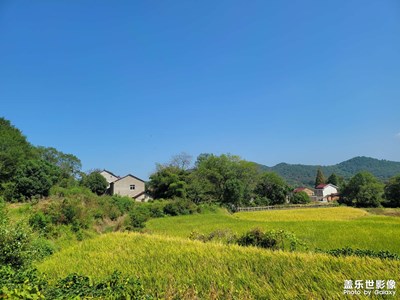 【我的假期生活】 乡下风景