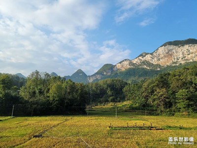 风景