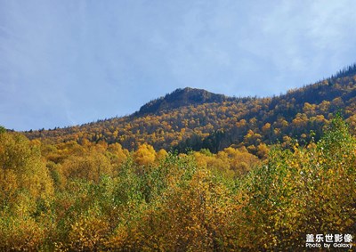 【影像从心】 秋日山林