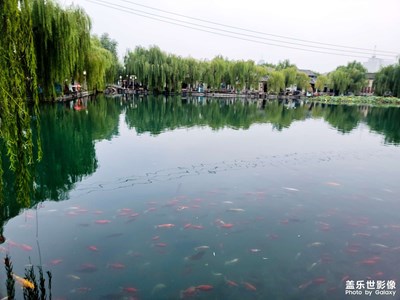 随拍