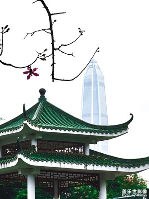 深圳小景