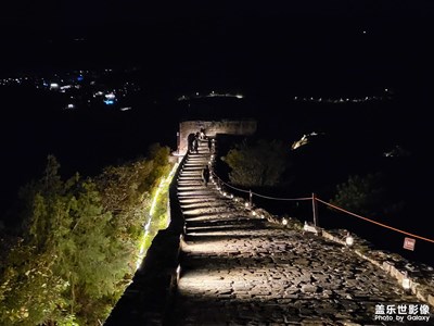 来自z的夜景