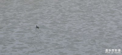 抚仙湖随拍