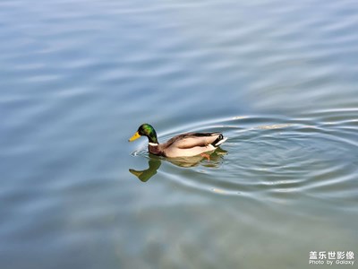 今日照片   南湖广场