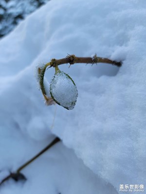 2021第一场雪