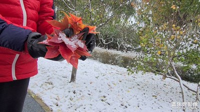 北京的第一场雪