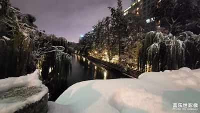 夜
