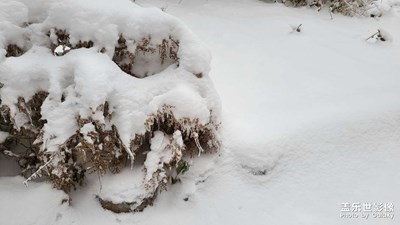 雪景