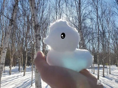【雪】雪鸭鸭！