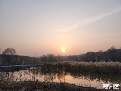 九里山前夕阳无限美好