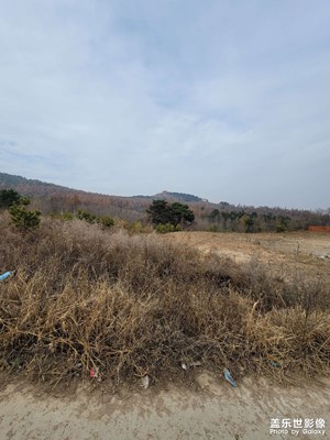 note20ultra长焦拍摄