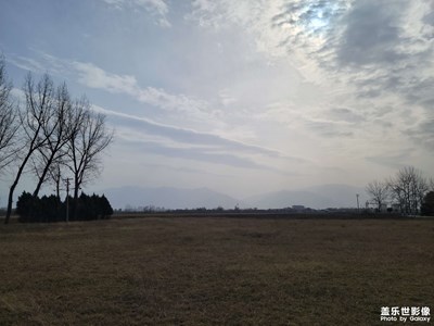 机场转转