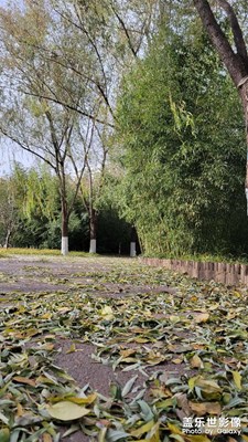 莲花池公园闲逛