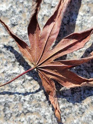 办公室附近随拍