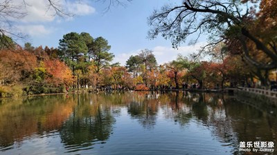 天平赏枫