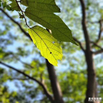 爬山随拍