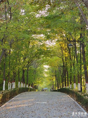 【城市漫游记】+银川的过去与现在