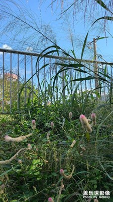 福建小县城的冬日，暖阳依旧