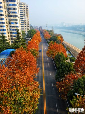 西坝风景线