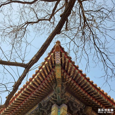 【难忘2021】这平凡又平凡的一年