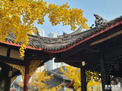 【冬日暖阳】+成都太古里大慈寺随拍