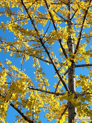 【难忘2021】+长焦美景