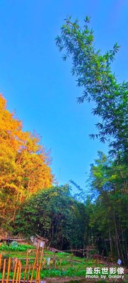 登高望远